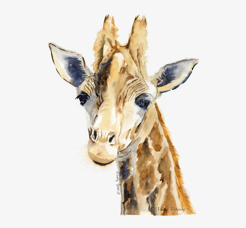 Bleed Area May Not Be Visible - Giraffe Watercolor, transparent png download
