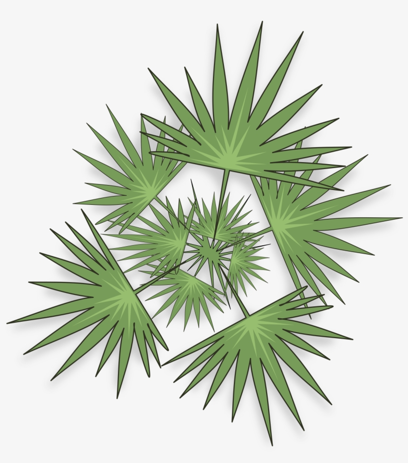 Palm Trees, transparent png download