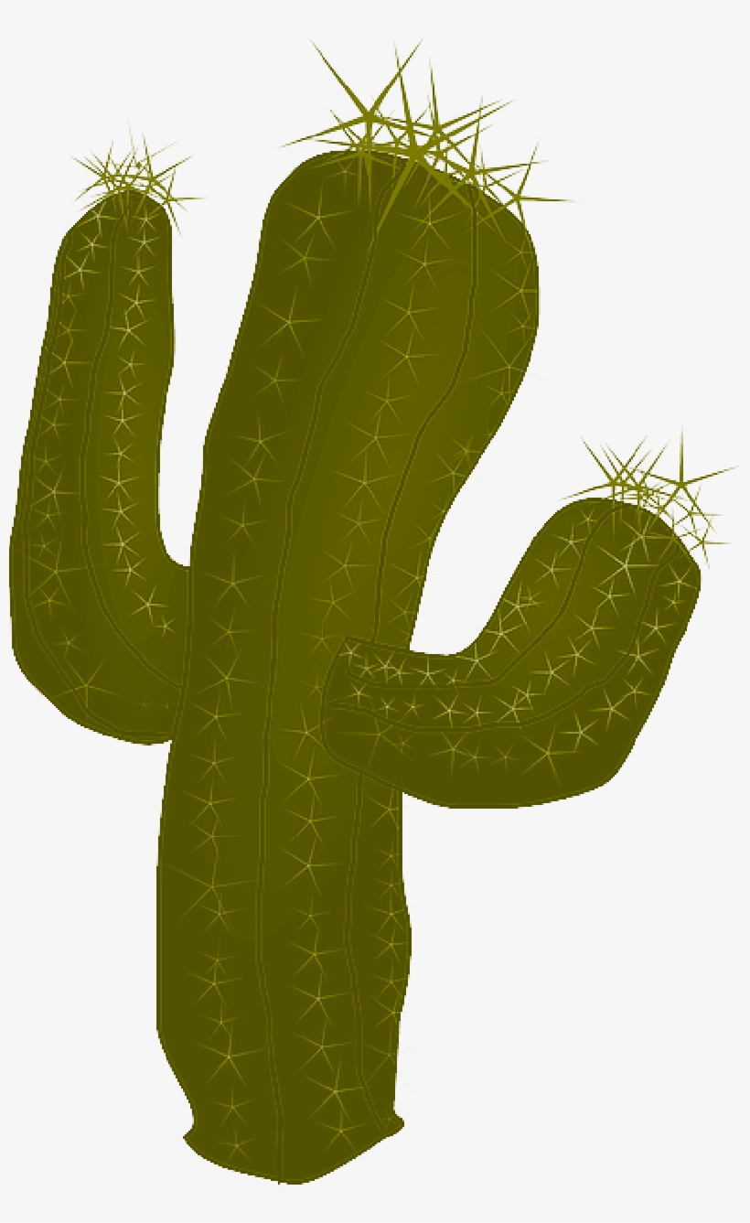 Mb Image/png - Cactus Desert Food Chain, transparent png download