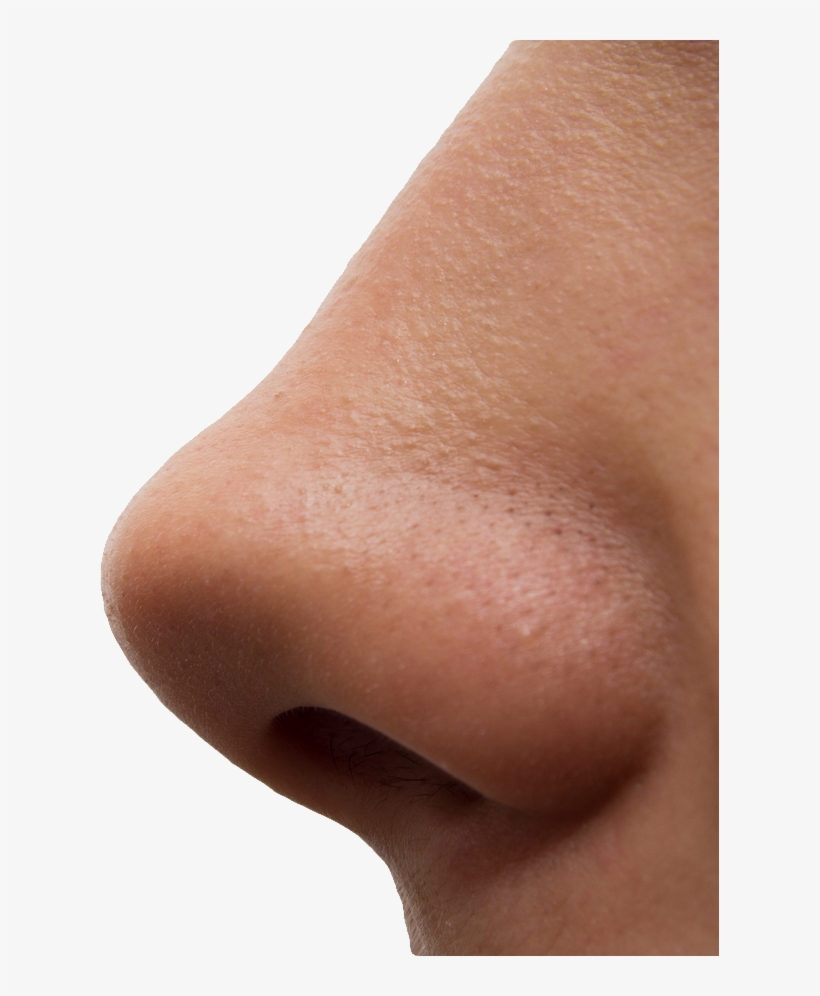 Imagens Nariz, transparent png download