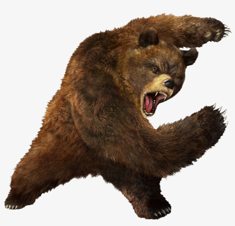 Brown Greezly Bear Png Image - Bear Png, transparent png download