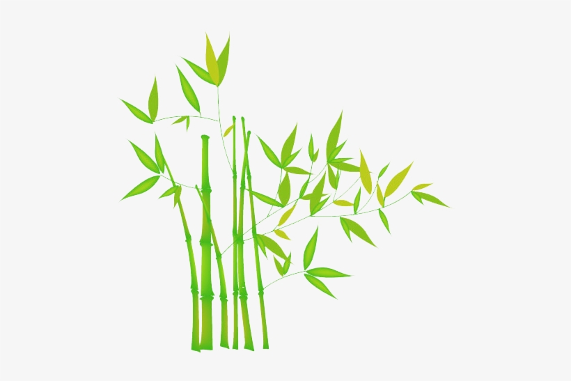 Bamboo Transparent Png - Grass, transparent png download