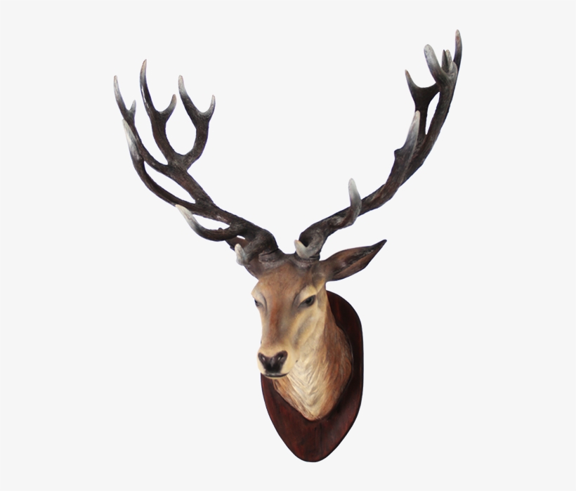 Clipart Png Deer - Deer Head Transparent, transparent png download