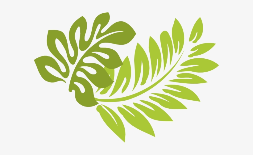 Palm Tree Leaf Png Clip Art - Hibiscus Clip Art, transparent png download