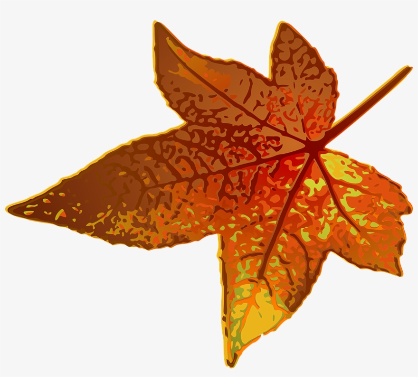 Watercolor Brown Leaves, Watercolor, Leaf, Brown Png - Maple Leaf Clip Art, transparent png download