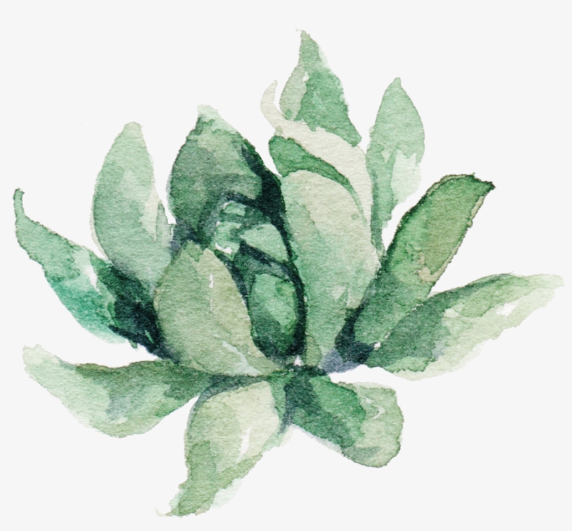 Clipart Free Transparent Succulent Watercolor - Aztec Fabric - 8" She Is Fierce Floral Stripes Peach, transparent png download