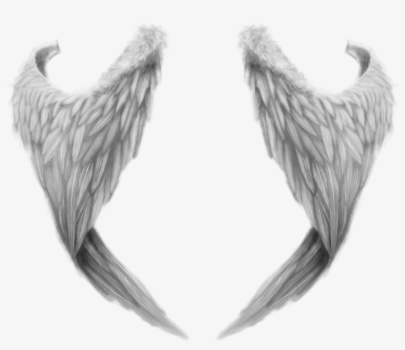 Angel - Angel Wing Transparent Png, transparent png download