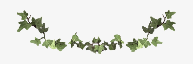 Vine 1 - Animal Jam Clans, transparent png download