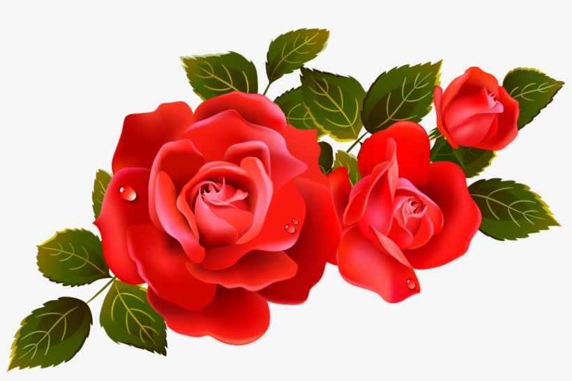 Red Rose Png Image - Red Roses Clip Art PNG Image | Transparent PNG ...
