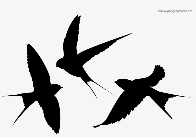 Swallows Silhouettes Png - Swallow Silhouette Transparent, transparent png download