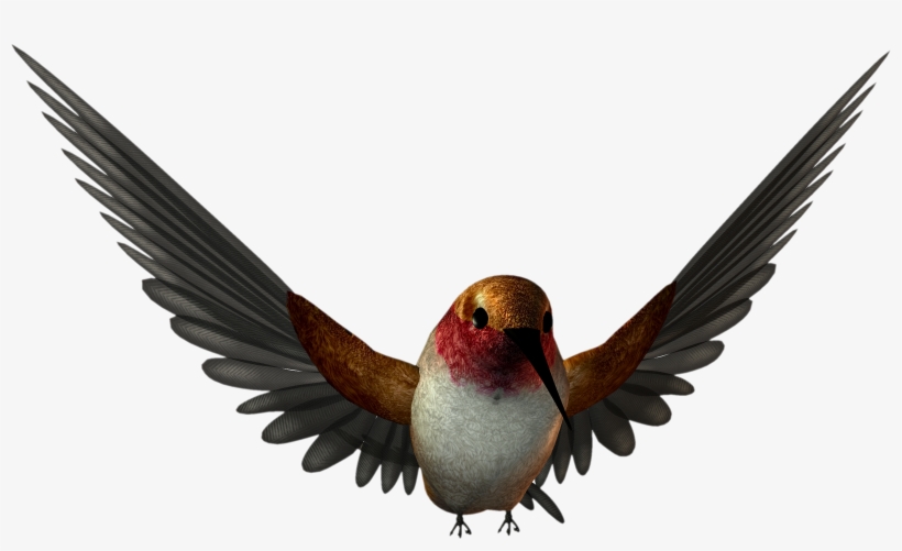 Free High Resolution Graphics And Clip Art - Png Graphics, transparent png download