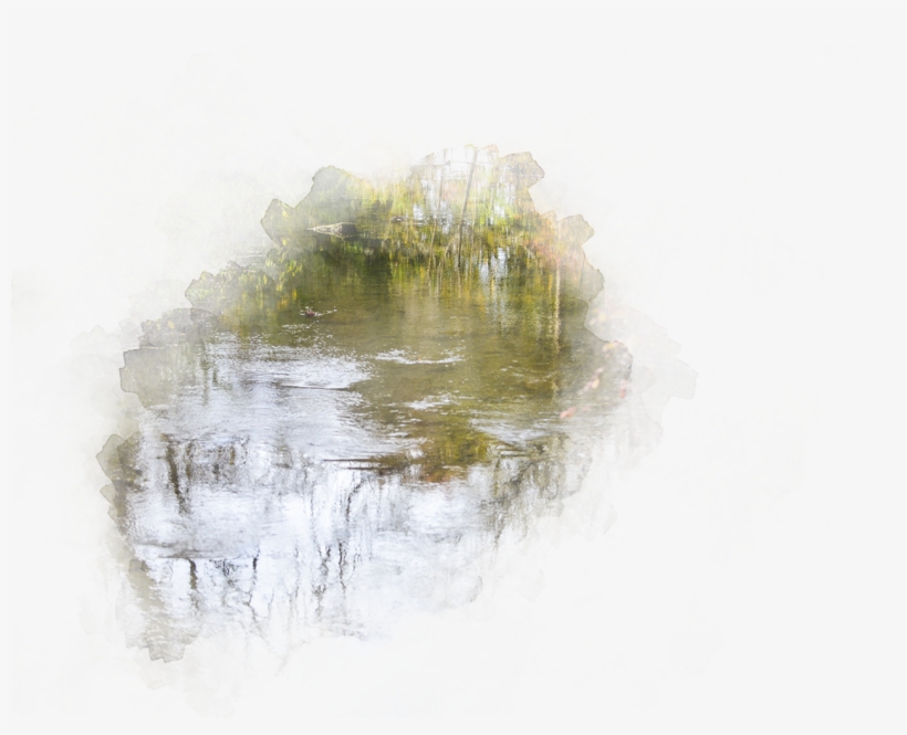 Welcome To College Township - Reflection, transparent png download