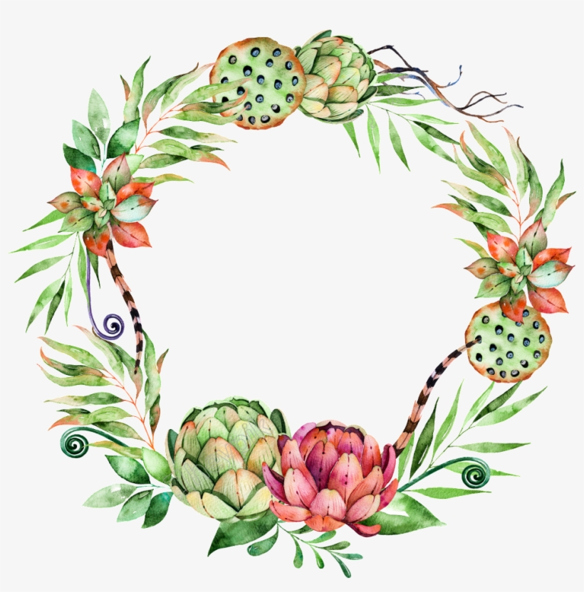 Hand Painted Succulents Wreath Hd Photos Free - Flower Wreath Succulent Png, transparent png download