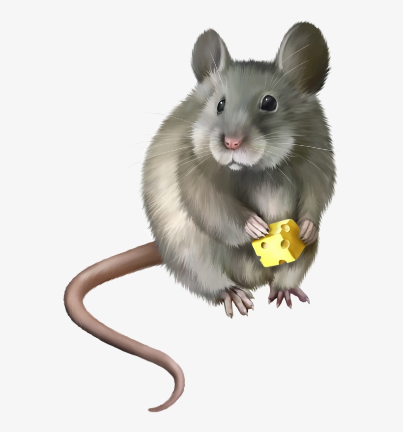 Souris - Field Mice Clipart, transparent png download