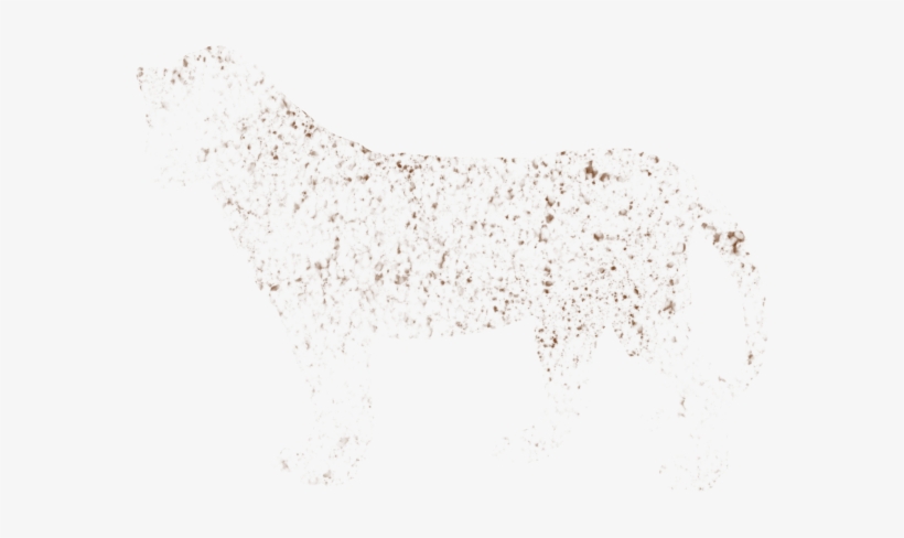 Freckles Png File - Flock PNG Image | Transparent PNG Free Download on ...