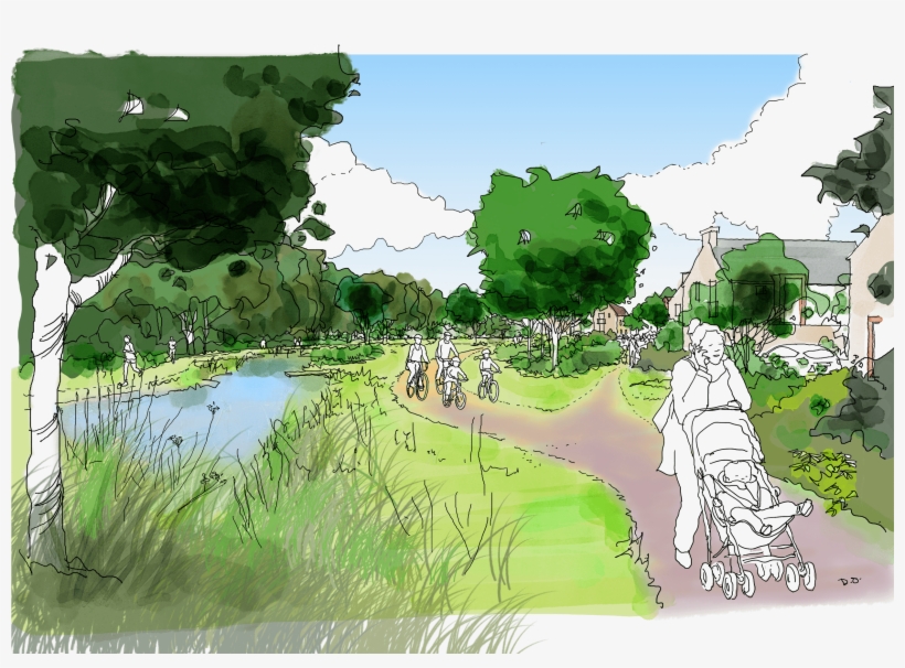 Sutton Road, Maidstone - Tree, transparent png download