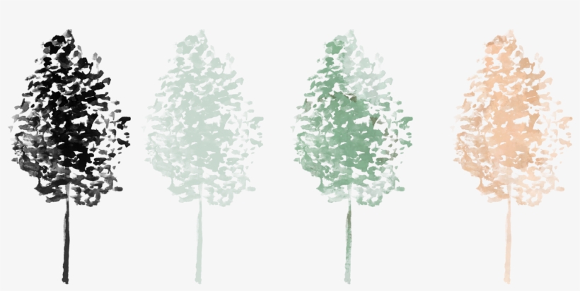 If You Want To Learn The Simple Process Of How To Use - Christmas Tree, transparent png download