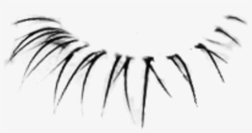 Eyelashes Png Picsart, transparent png download