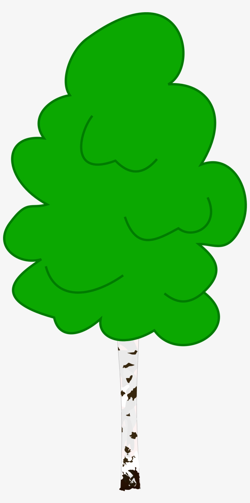 Birch Cliparts - Birch Clipart, transparent png download