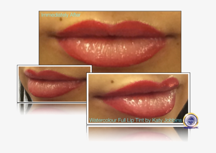 20 1 Katy Jobbins Permanent Makeup Watercolor Full - Watercolor Lips Permanent Makeup, transparent png download