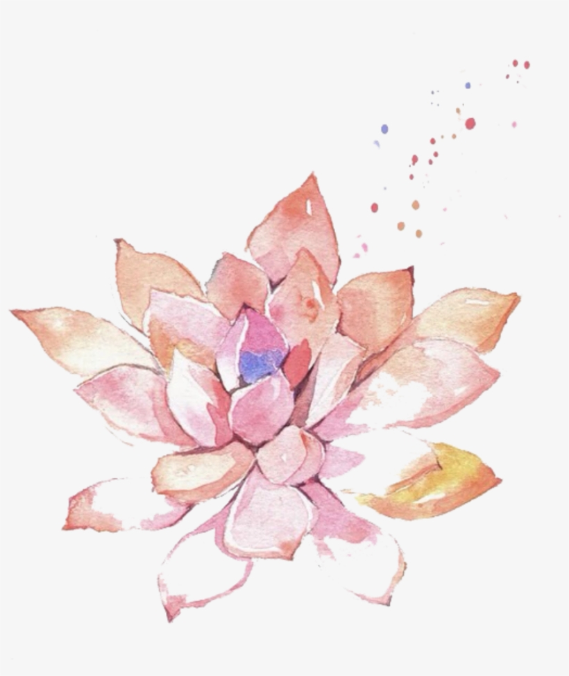 Ftestickers Watercolor Painting Flower Succulent Pink - Watercolor Painting, transparent png download
