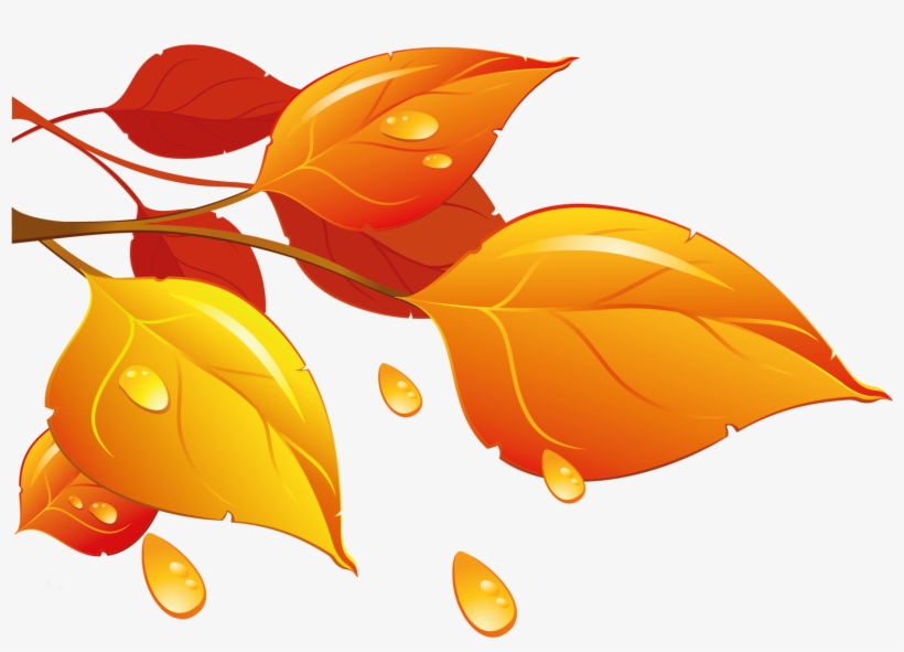 Transparent Autumn Leaves Png Clipart - Fall Leaves Clipart, transparent png download