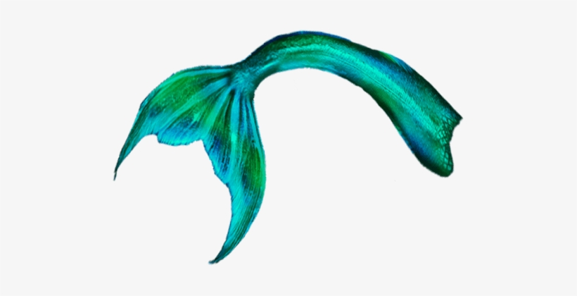 Mermaid Tail Transparent Background, transparent png download