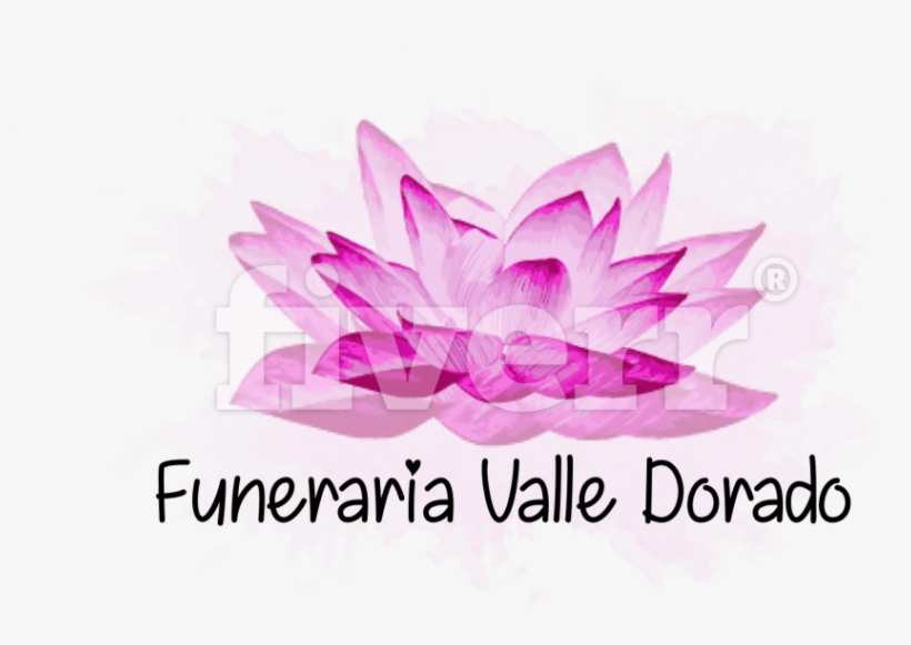Sacred Lotus, transparent png download