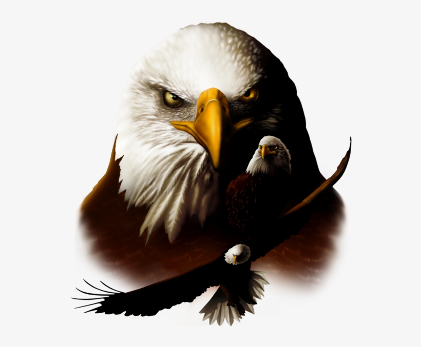 Bird Fabric, Eagle Fabric Panel With 3 Eagles - Textile, transparent png download
