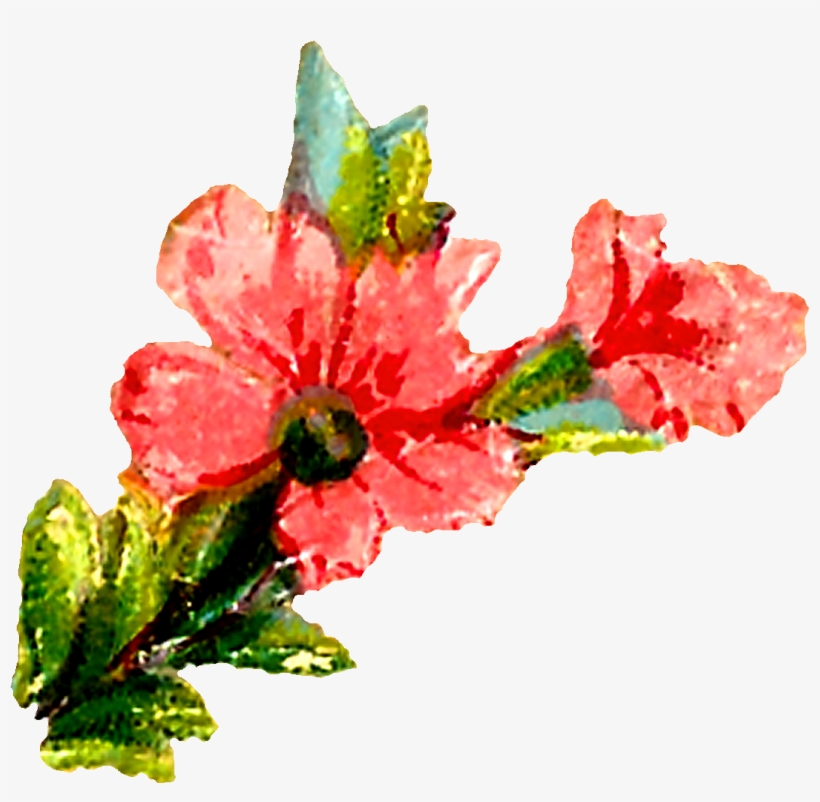 Pastel Floral Clipart Downloads - Flower, transparent png download