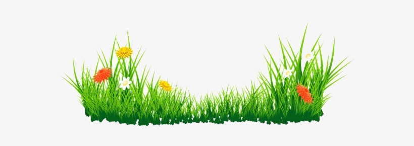 Download Png Image Report - Grass With Flower Clipart, transparent png download