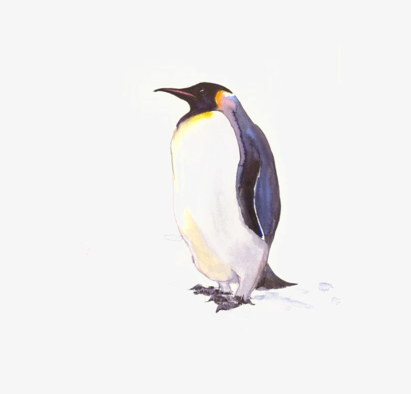 King Penguin Drawing At Getdrawings - East Urban Home Penguin Painting Print, transparent png download