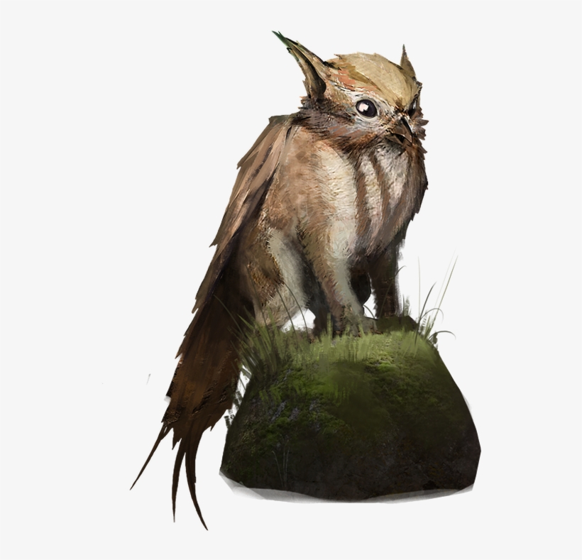 Watcher Of The Woods Pre-order Pack Cosmetic Pet - Portable Network Graphics, transparent png download