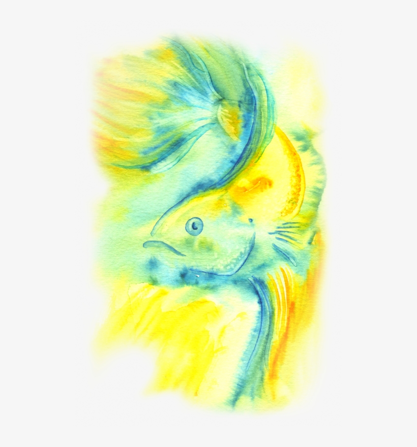 Png Betta Drawing Watercolor - Watercolor Painting, transparent png download