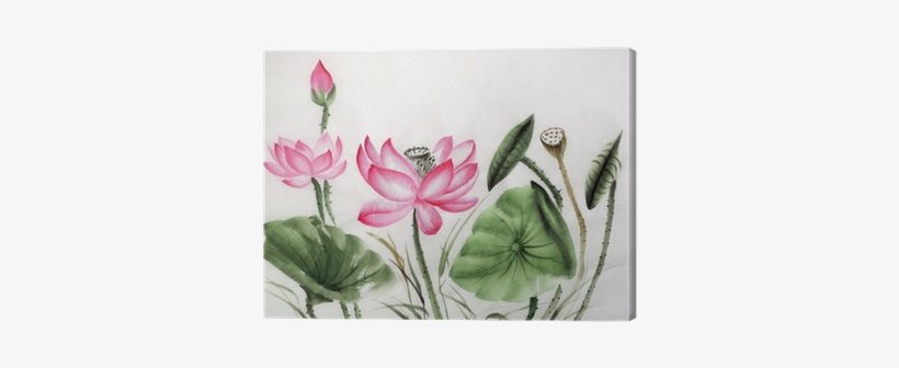 Watercolor Painting Of Pink Lotus Canvas Print • Pixers® - Art Print: Surovtseva's Watercolor Painting Of Pink, transparent png download