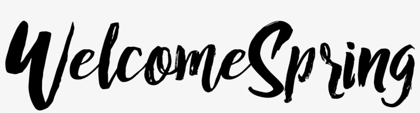 Welcome Spring Cut File Png Or Svg Chin Up Princess Or The Crown Slips Shirt For Women Png Image Transparent Png Free Download On Seekpng