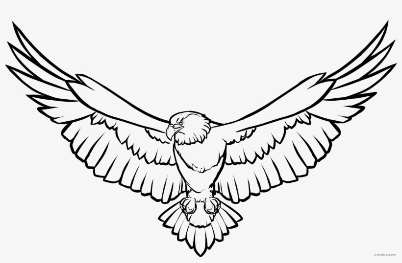 Line Art Drawing Bald Eagle Eagle Feather Law - Eagle Clipart Black And White, transparent png download