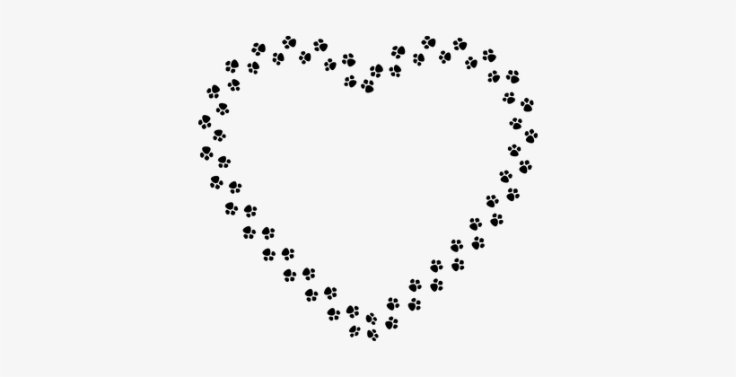 142 Free Images Of Paw Print - Paw Print Black And White Heart, transparent png download