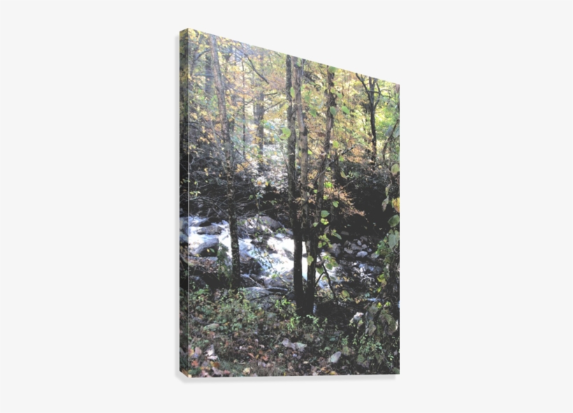 Smokey Mountain Stream Watercolor Effect Canvas Print - Grove, transparent png download
