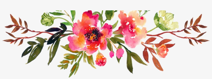 Rosa Arkansana, transparent png download