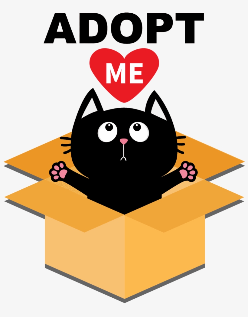 Adoptimage Nbg - Adopt A Cat Png, transparent png download
