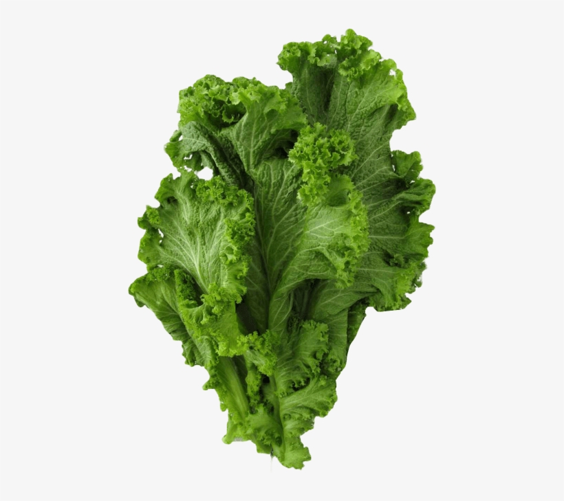 Free Png Mustard Greens Png Images Transparent - Greens Png, transparent png download