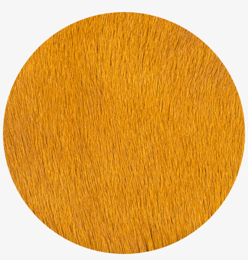 Mustard - Circle, transparent png download
