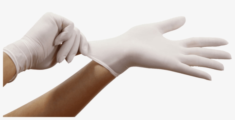 Free Png Gloves On Hand Png Images Transparent - Surgical Gloves Png, transparent png download