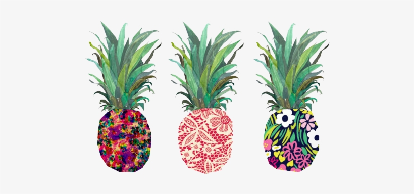 Png Tumblr Transparent Donut - Png Pineapple Transparent, transparent png download