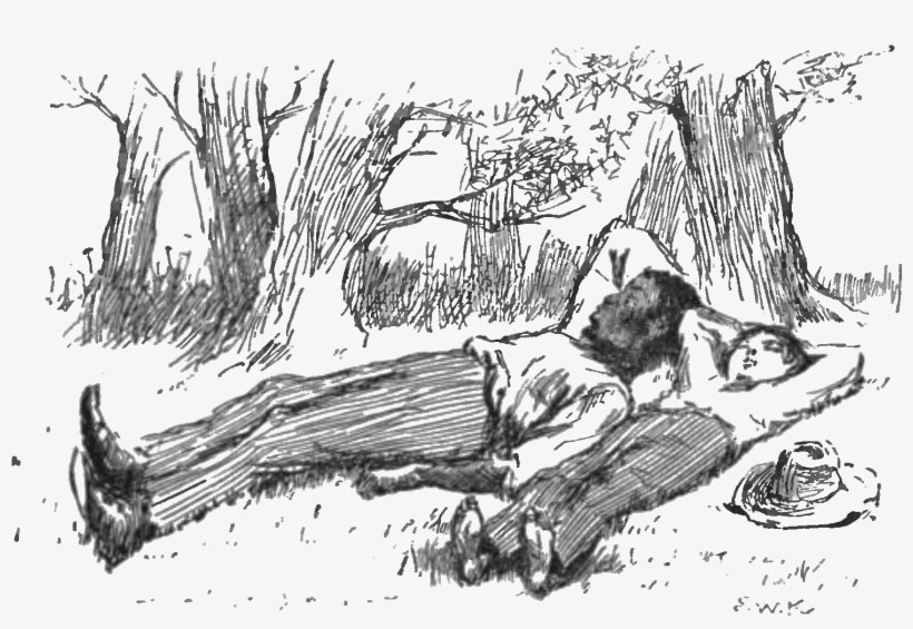 Adventures Of Huckleberry Finn 1885-p108 - Juxtaposition Example In Novel, transparent png download