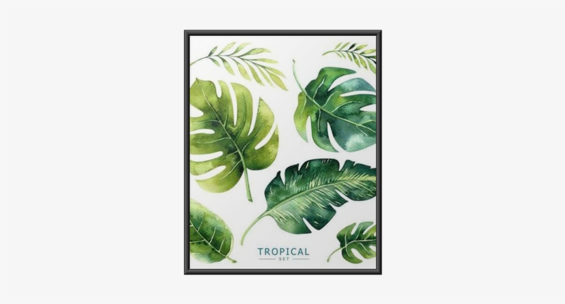 Hand Drawn Watercolor Tropical Plants Set Exotic - Jungle Plants Watercolor, transparent png download