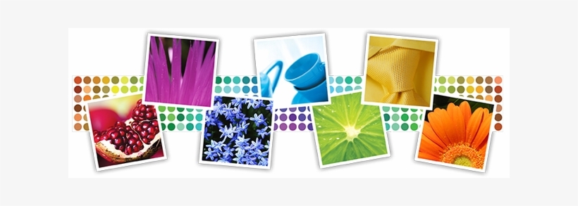 Spray Paint Colors - Color Paint Png, transparent png download