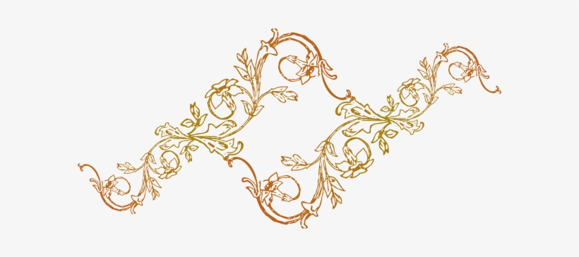 Floral Frame Png, transparent png download