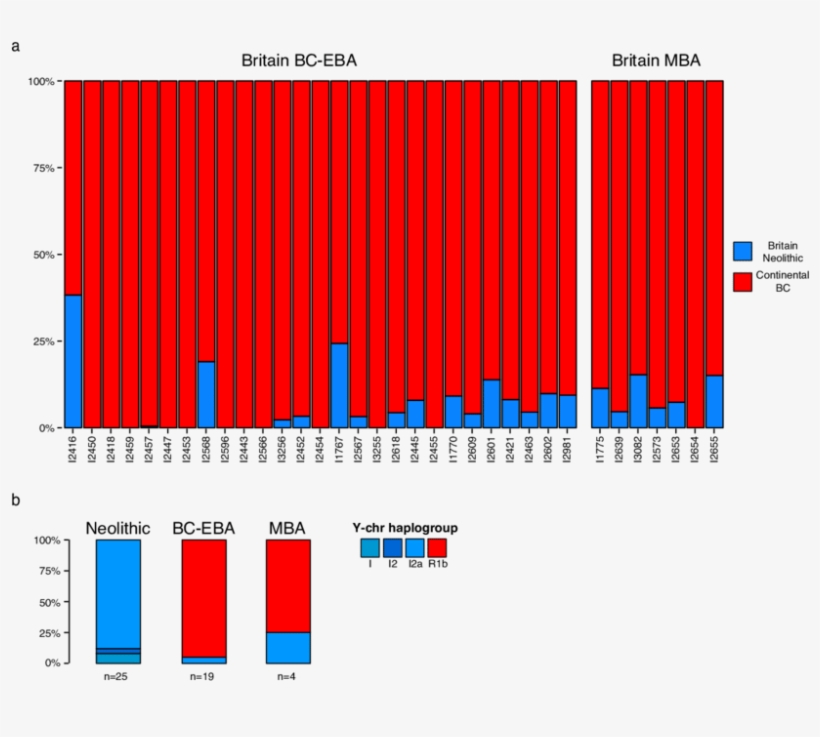 Population Transformation In Britain Associated With - 2017, transparent png download